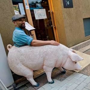 Meet your Posher, Dan